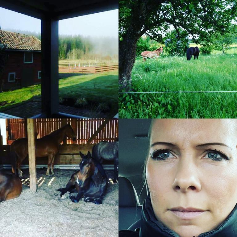 Bjaerkeryd Soedergard Bed & Stable Villa Kisa Kültér fotó
